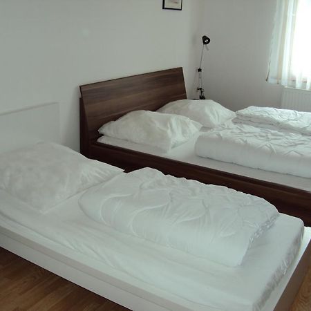 Apartments Ski Sonne Rehe Rehefeld-Zaunhaus ภายนอก รูปภาพ