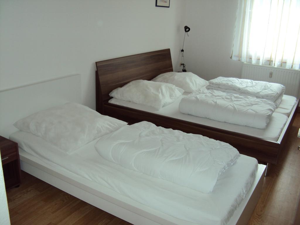 Apartments Ski Sonne Rehe Rehefeld-Zaunhaus ภายนอก รูปภาพ